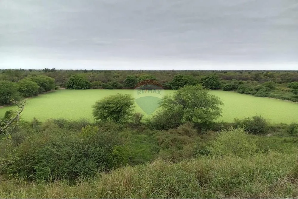 🌾 Estancia en Venta – Fuerte Olimpo, Alto Paraguay 🇵🇾 — foto 3