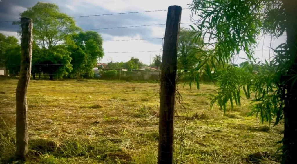 EN VENTA UNA HECTAREA EN MARIANO ROQUE ALONSO — foto 3