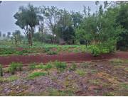 Vendo Terreno Km 20 Monday Por: 60 Millones Minga Guazu