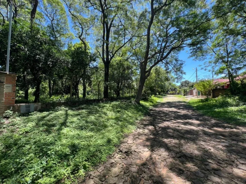 VENDO AMPLIO TERRENO EN SAN BERNARDINO — foto 2