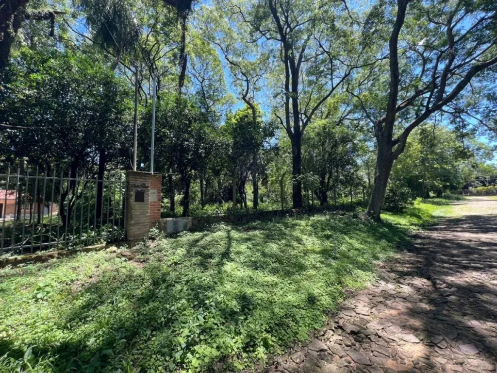 VENDO AMPLIO TERRENO EN SAN BERNARDINO — foto 3