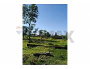 VENDO ESTANCIA EN CANENDIYU