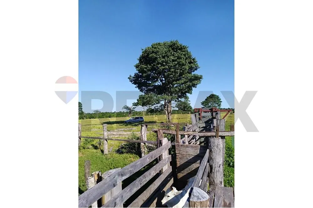 VENDO ESTANCIA EN CANENDIYU — foto 2