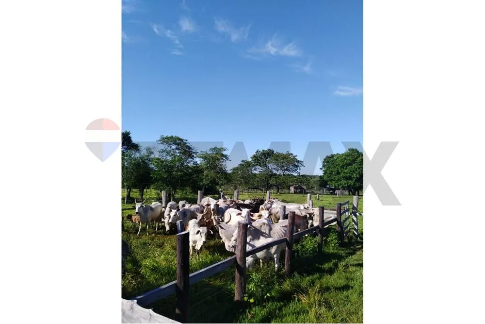 VENDO ESTANCIA EN CANENDIYU — foto 3
