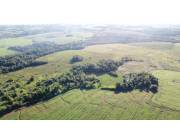 OFERTA CAMPO DE 59 HECTÁREAS ZONA URU SAPUKAI DISTRITO DE ENCARNACIÓN.