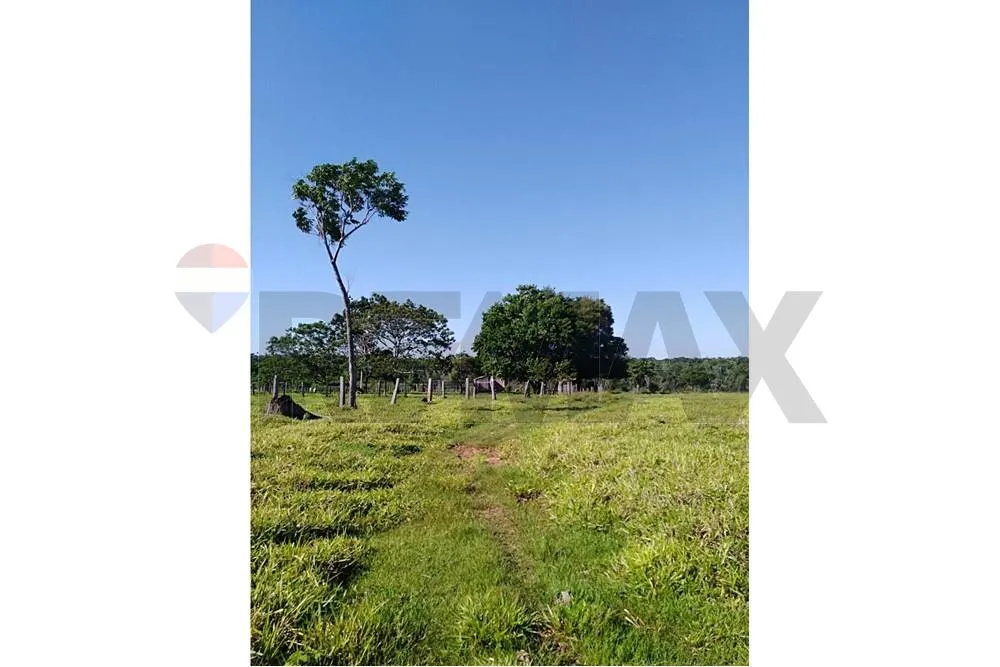 VENDO Establecimiento Ganadero en Yvyra Róvana, Canindeyú 184 Hectáreas — foto 2