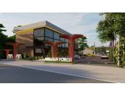 Venta de lotes en Areguá