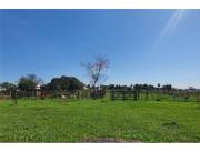 VENDO 60 HECTAREAS EN CURUGUATY