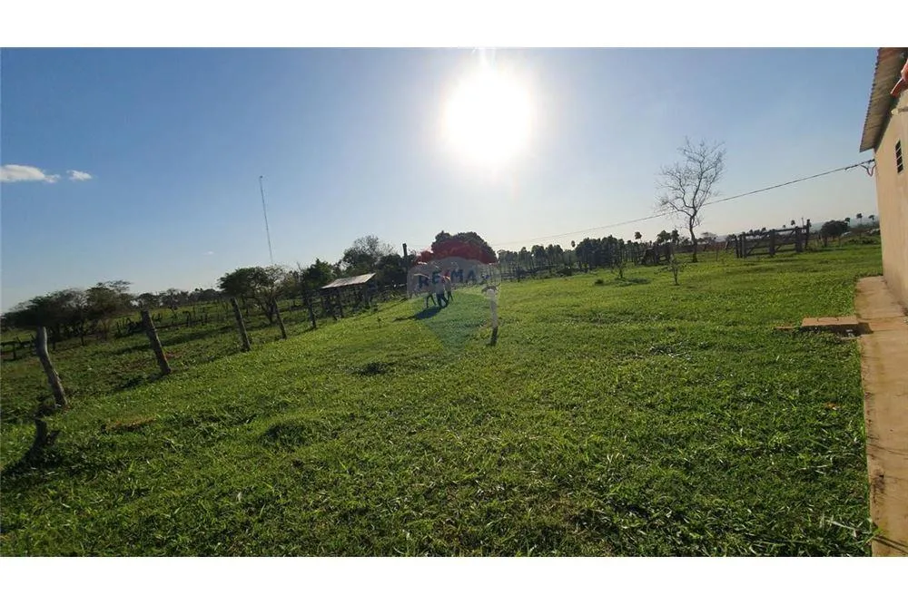 VENDO 60 HECTAREAS EN CURUGUATY — foto 2