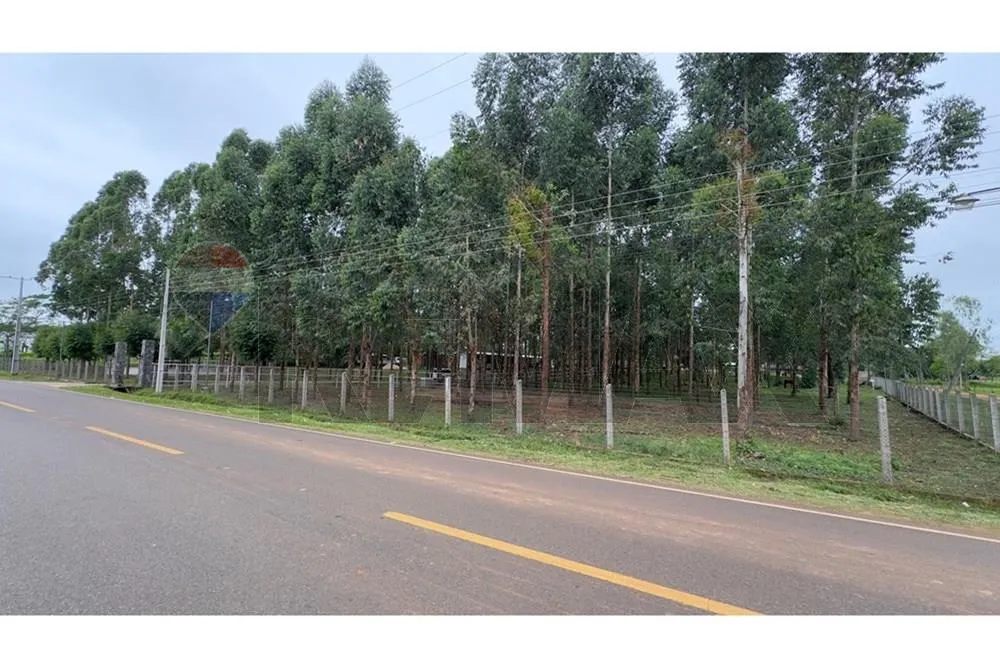 VENDO ESTANCIA EN PRIMERO DE MARZO — foto 2