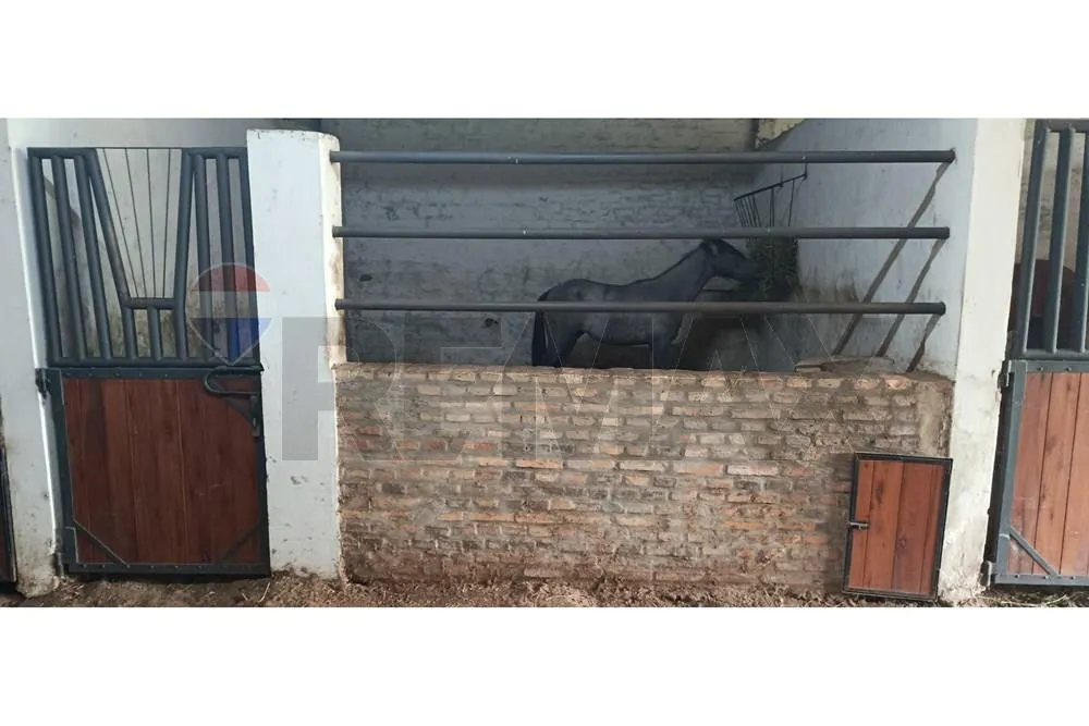 VENDO ESTANCIA EN PRIMERO DE MARZO — foto 3