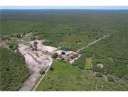 Venta Campo 3.749 Has. 7800 m2- Pte. Hayes Ruta Ñ