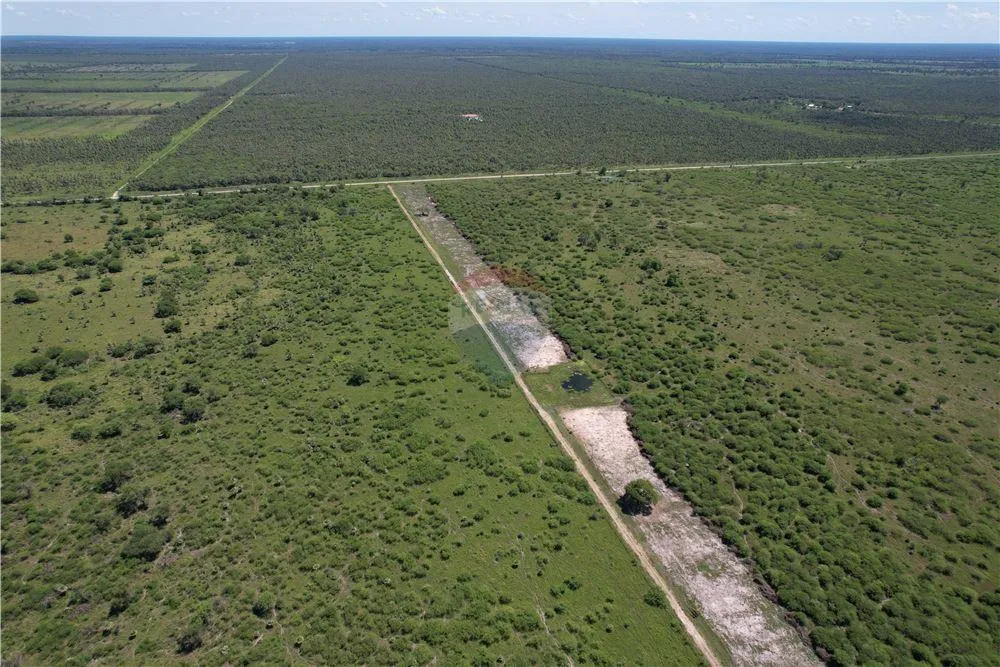 Venta Campo 3.749 Has. 7800 m2- Pte. Hayes Ruta Ñ — foto 3