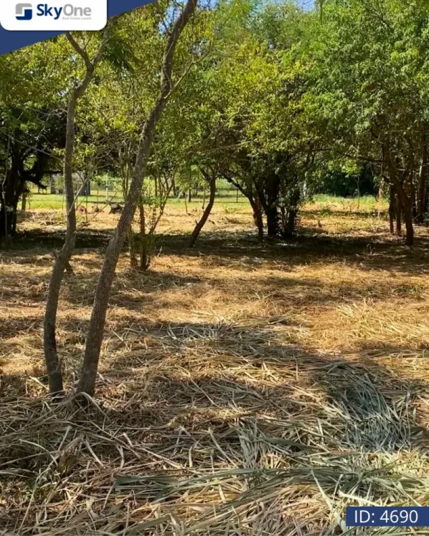 VENDO TERRENO EN SURUBI´I — foto 3