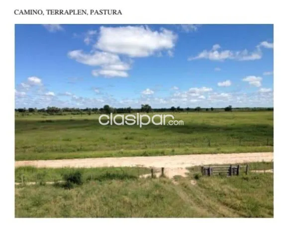 Campo en venta en Rio Verde, Teniente Primero Manuel Irala Fernández — foto 2