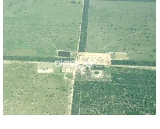 Campo en venta en Rio Verde, Teniente Primero Manuel Irala Fernández — foto 3
