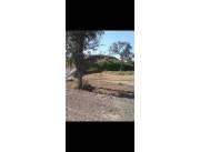 Vendo Campo de 3.700 Hectáreas en Zona Santa Marta, Boquerón - CLCS7526804