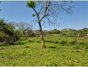 TERRENO RUTA LUQUE SANBER