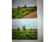 Vendo 1.400 hectáreas en Nueva Italia Central