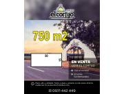 EL CORTIJO, YPACARAÍ – CAMINO A SAN BERNARDINO, HERMOSO LOTE DE 750 M² TOTALMENTE ARBOLADO