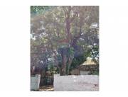 Terreno - Venta - San Vicente, Paraguay