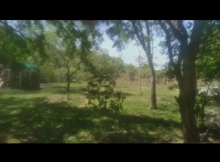 VENDO CASA QUINTA DE 2.600 M2 KM 45 RUTA 2 — foto 2