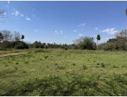 VENDO OFERTA 3 HECTAREAS EN ITA