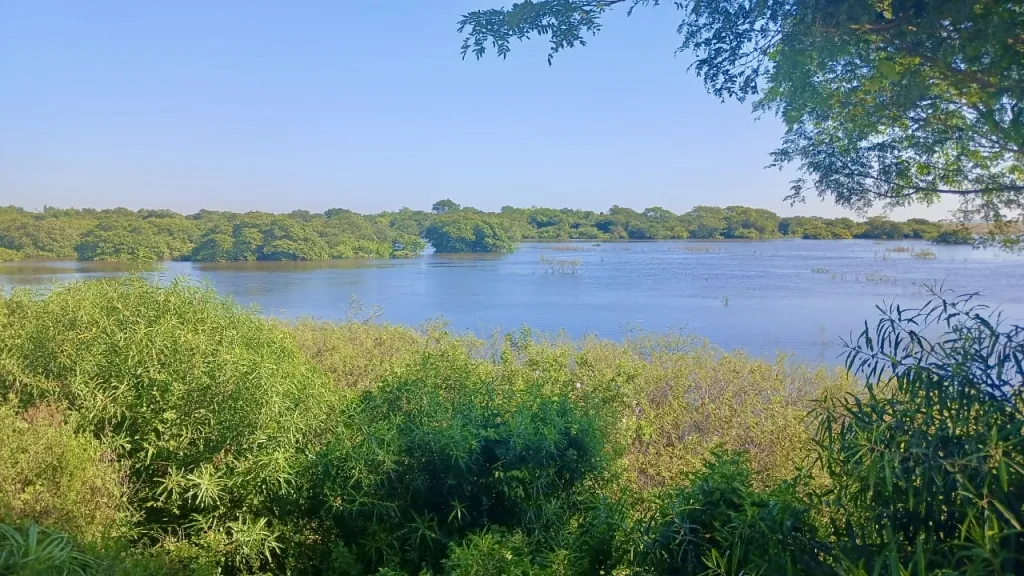 Campo AgrícolaGanadero en Yuty costas al Río Pirapó - 250 Ha. — foto 3