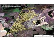 VENDO 641 HECTAREAS EN CAAZAPA COD 3653