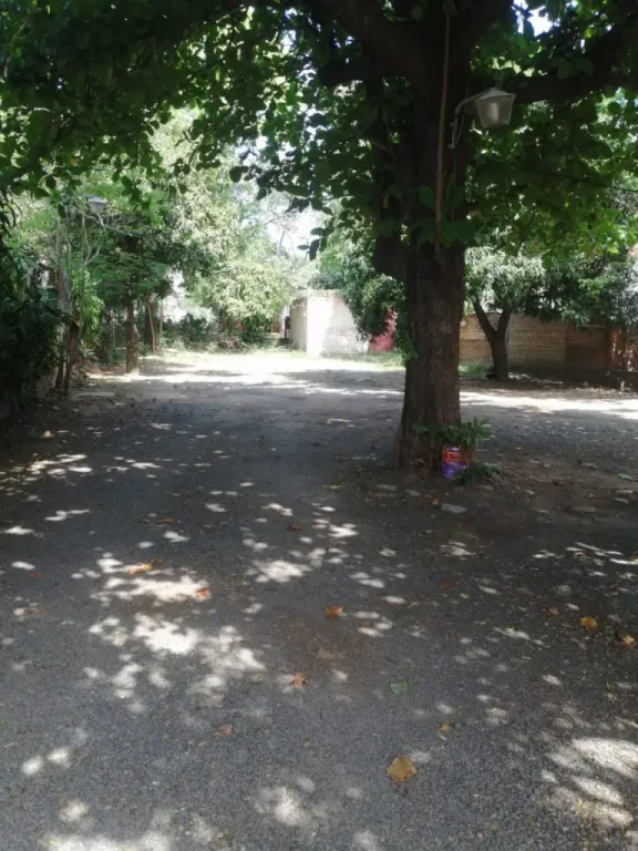 Oferto Propiedad s Avda Artigas — foto 2