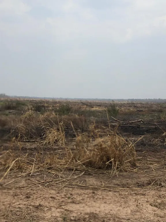 Vendo Campo de 5.075 Hectáreas Zona Agua Dulce, Alto Paraguay - CLCS7531741 — foto 2