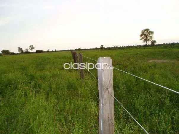 Vendo Campo de 5.075 Hectáreas Zona Agua Dulce, Alto Paraguay - CLCS7531741 — foto 3
