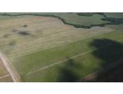 Campo Agrícola/Ganadero en Caazapá - 1980 Ha.