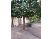 VENDO CASA EN ASUNCION BARRIO ROBERTO L PETIT 5920