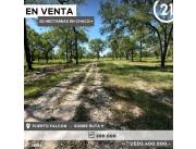 EN VENTA 20 HA SOBRE RUTA 9 CASI CRUCE RUTA 12, FALCON.