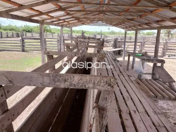 ESTANCIA EN VENTA | ZONA TTE ESTEBAN MARTINEZ — foto 3