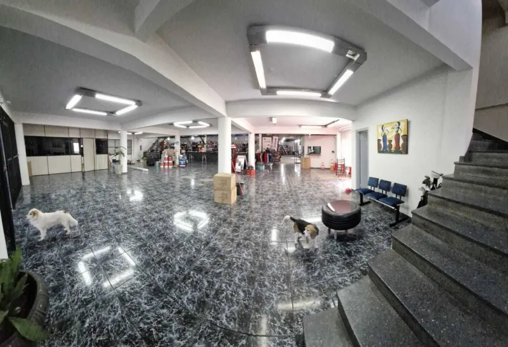 VENDO PROPIEDAD ESTRATEGICA EN SAN LORENZO — foto 2