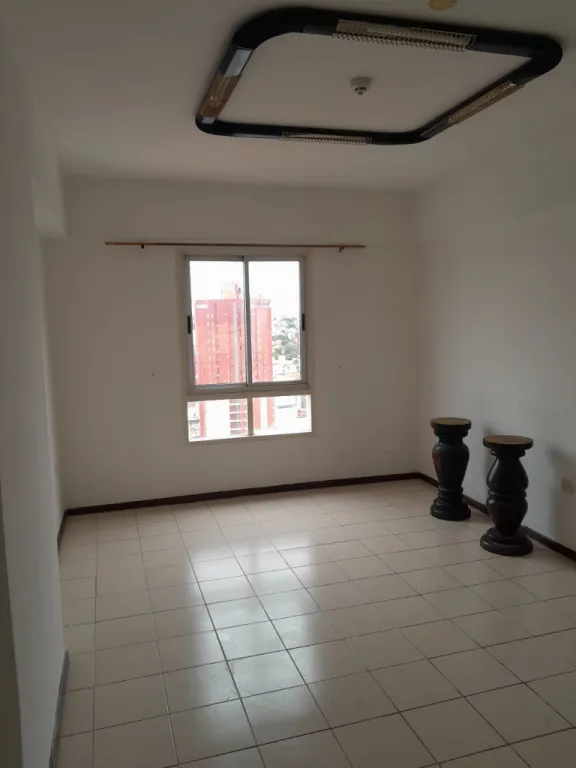ALQUILO DEPARTAMENTO CÉNTRICO (COCHERA + EXPENSAS INCLUIDAS) — foto 2