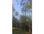 VENDO TERRENO - LAS CUMBRES, SAN BERNARDINO