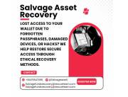 HIRE THE BEST CRYPTOCURRENCY RECOVERING COMPANY. VISIT SALVAGE ASSET RECOVERY