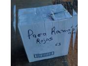 01 caja de 10 unidades, hago envíos previo giro bancario a todo el Paraguay 🇵🇾. CONSULTE