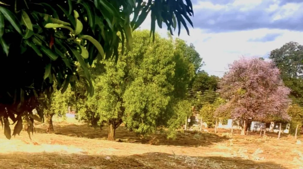 EN VENTA UNA HECTAREA EN MARIANO ROQUE ALONSO — foto 2