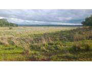 En venta – Propiedad de 19,5 hectáreas en Acahay. E2414