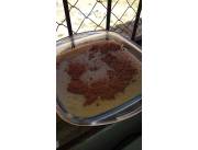 Soy cocinera profesional y quiero trabajar en casa de familia