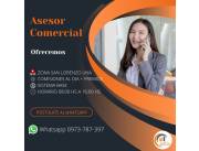 Asesores de ventas a nivel país