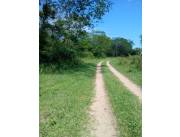 Oferta de 4.5 ha.entre Samber y Emboscada