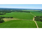 Campo Agrícola Mecanizado en San Pedro del Paraná - 680 Ha.