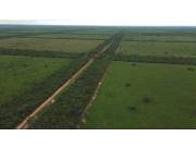 Campo Agrícola/Ganadero en Teniente Picco - 4000 Ha.