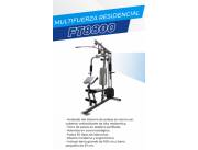 MULTIEJERCICIO EVOLUTION FT8800 !! NUEVOS CON 1 AÑO DE GARANTÍA ! HACEMOS DELIVERY