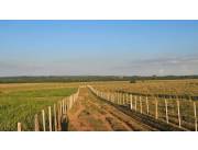 VENDO RANCHO HEBRON 30 HECTÁREAS PRODUCTIVAS EN YBYCUI
